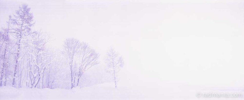 Niseko blizzard