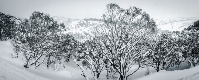 Guthega panorama. Photo: Sean Radich