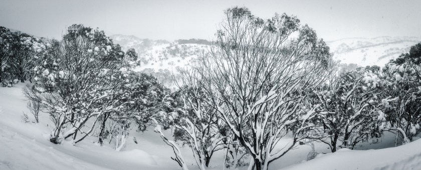 Guthega panorama - Sean Radich