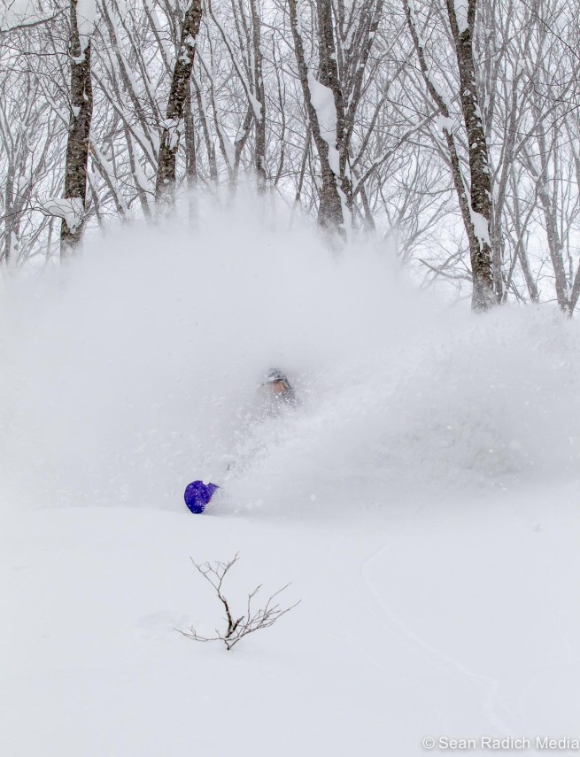 cortina2016_jeremyburns_radich-3349