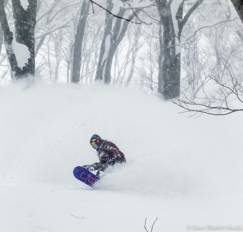 cortina2016_jeremyburns_radich-3540