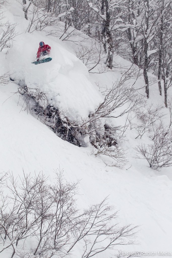 cortina2016_timnelson_radich-3451