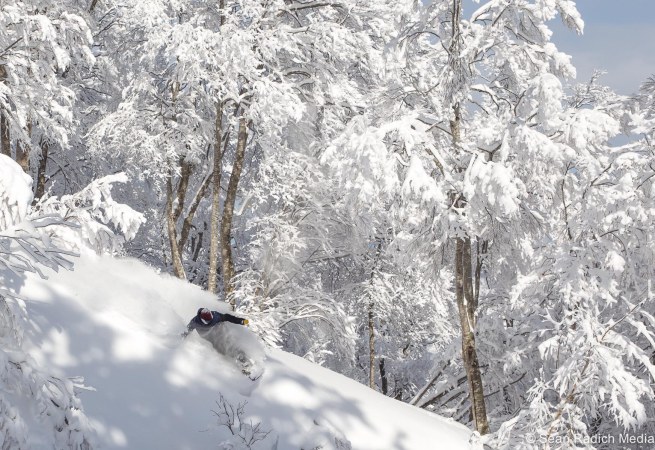 nozawa2016_timnelson_radich-3826