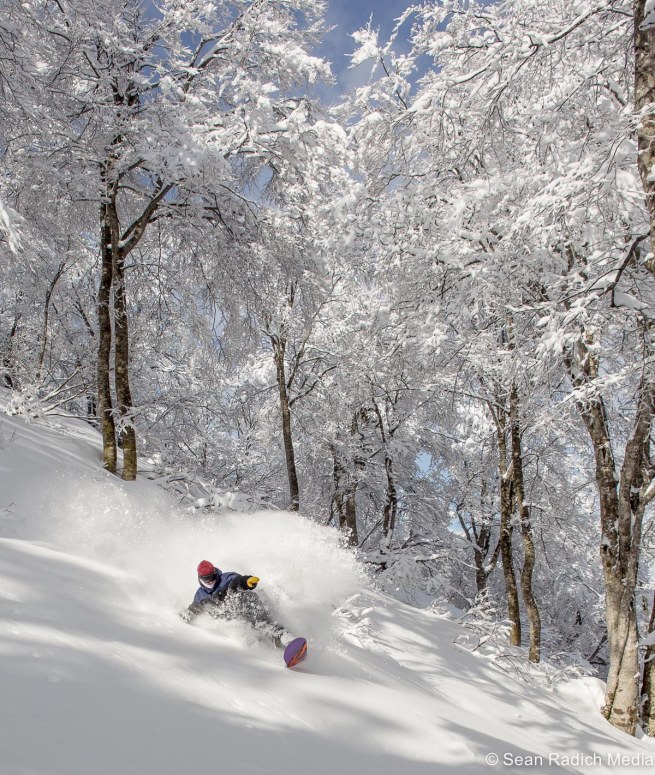 nozawa2016_timnelson_radich-3858