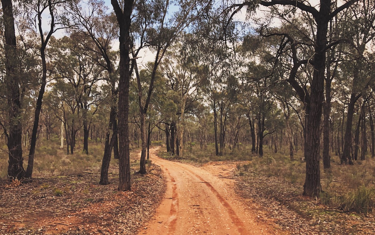 Lockdown Life: Victorian Goldfields During&nbsp;COVID-19